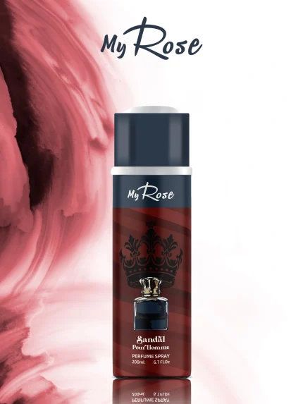 SANDAL POUR HOMME DEO 200 ML