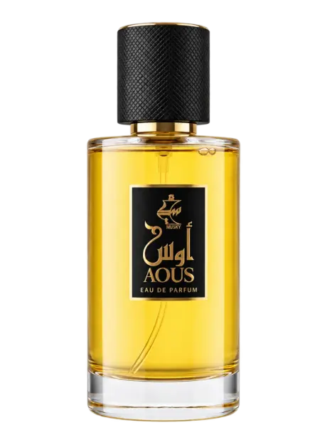 AOUS 100 ML, Eau de Parfum by Musky