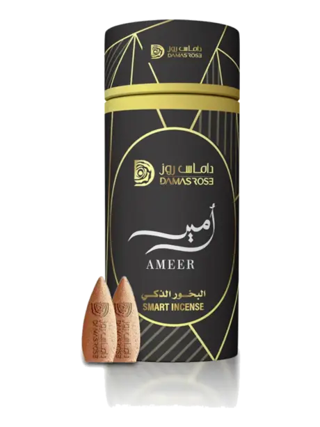 BACKFLOW INCENSE AMEER, Backflow Incense by Damas Rose